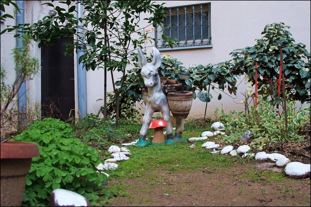 ホテル ゲスト ハウス ミルザ モスタル エクステリア 写真